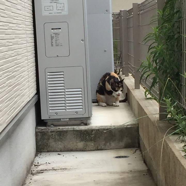 Bcb0f117 bca7 411b 83b1 8bd08e260a65