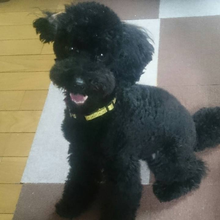 Bcb16923 9e1a 41d1 a848 dee393a2cc2e