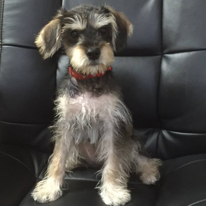 Bcb1d1e0 1c01 40c9 94fc 1b41ba22f4c8