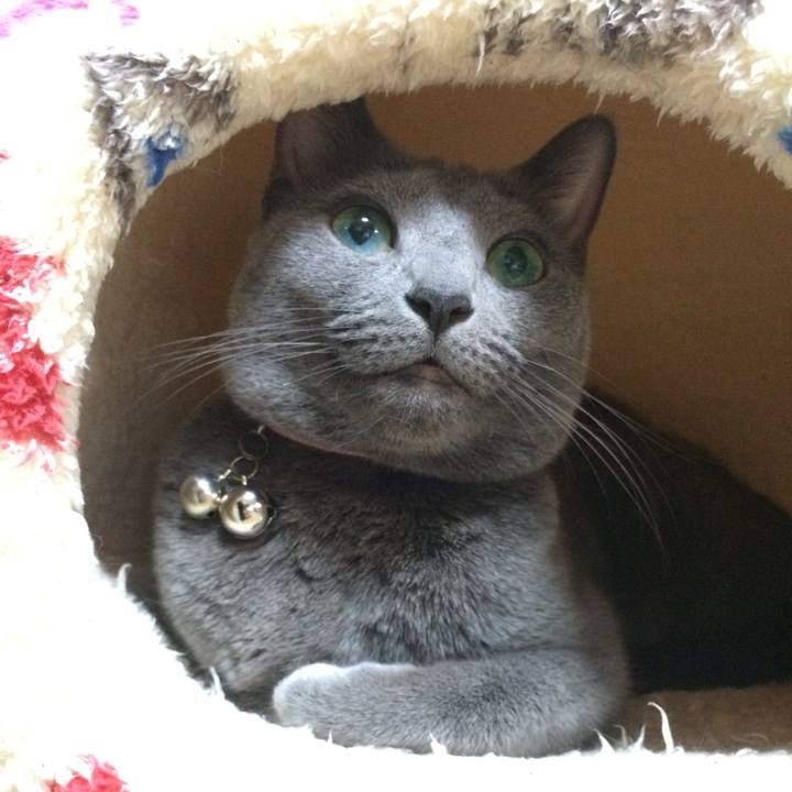 Bcb237e0 4456 4ffd 8175 14190ca82924