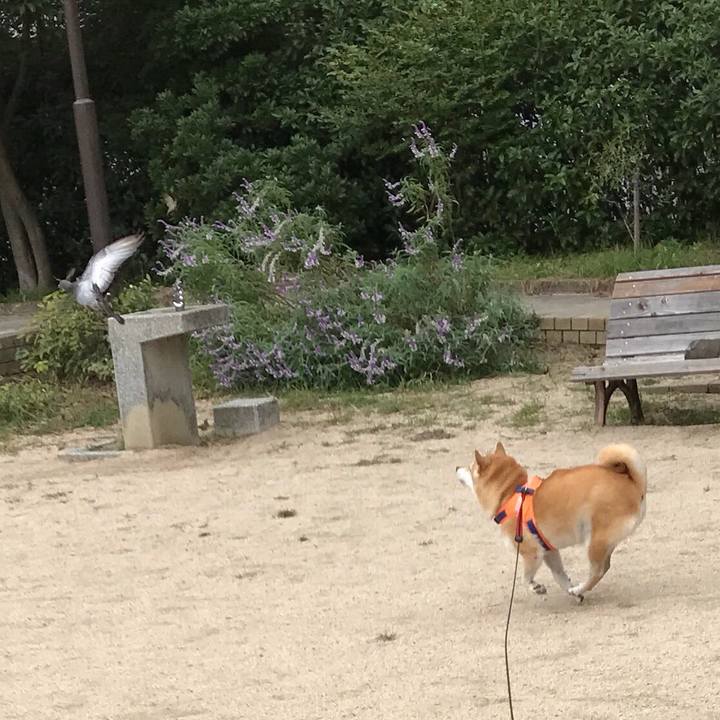 Bcb2a7aa 909b 4e18 9993 8d4e56d35f4a