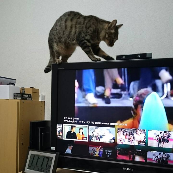 Bcb2af7f 6106 45dd ac34 49b58bd8b65a