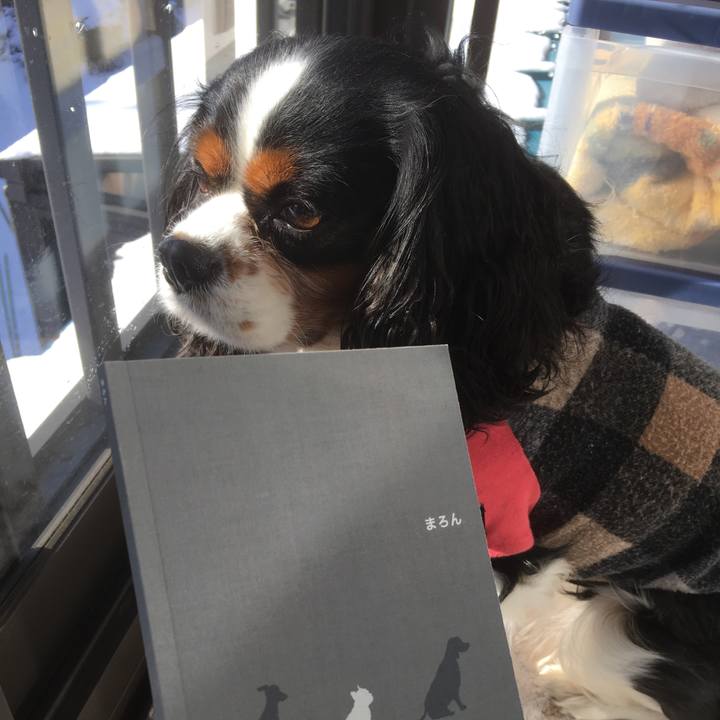 Bcb31d3c 3593 49b3 9c87 0845c2fa529f