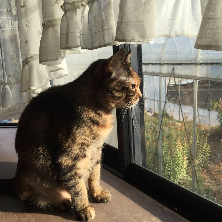 Bcb35f97 3a5c 439d ae0d d11792a8e8f6