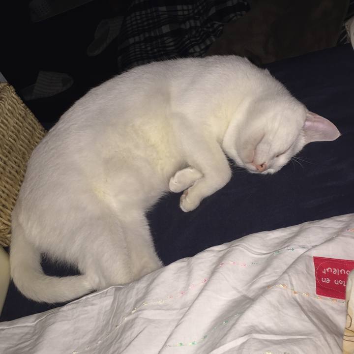 Bcb37ebf f2f0 42c5 a671 c5f1e5a8bc9b