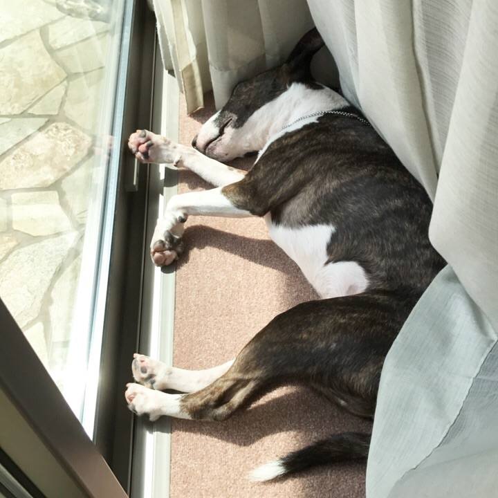 Bcb413d7 ba88 48e8 a60b 412684ae3ef2