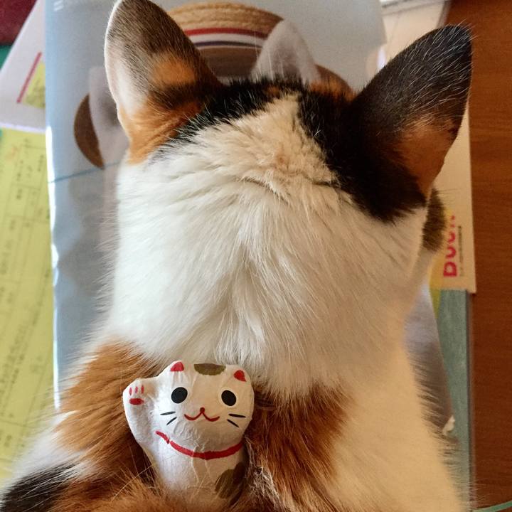 Bcb48393 f0a6 4bca 862b e46ea07beea0