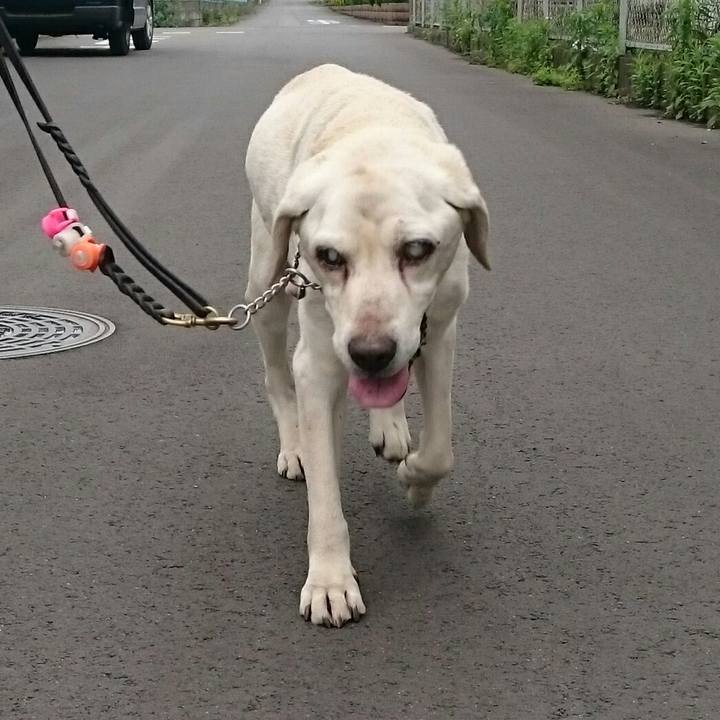 Bcb4bade 4058 457c b861 c93d8cdcac5c