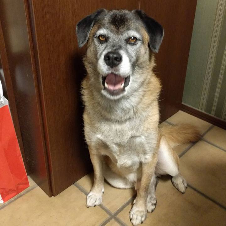 Bcb556bb aa2c 4f3a 99c9 28914f692e42