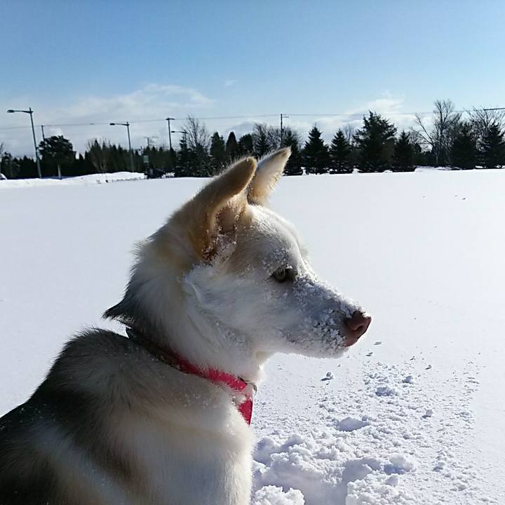 Bcb5a346 0394 4c6b b56d 6a533edd4a25