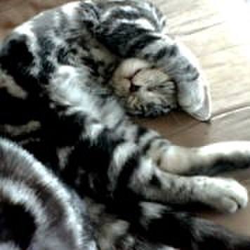 Bcb5d843 a495 48fd bced 048a0658f2f9