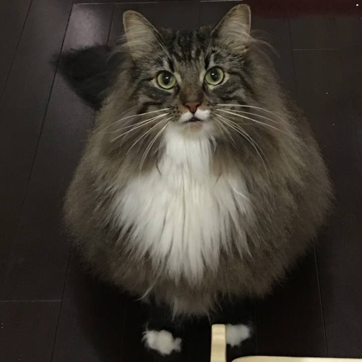 Bcb5ebb0 6f48 4fa6 a563 545705deee59