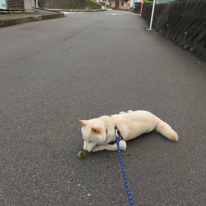 Bcb622f6 4dc7 4644 8792 30e4ad2a4aec