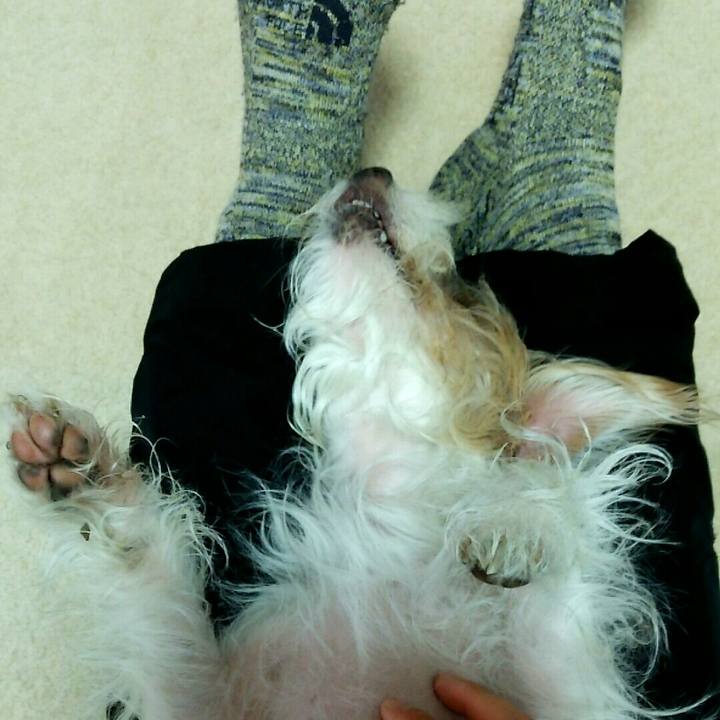 Bcb740ec 2d37 4717 9de1 b8687afee24a