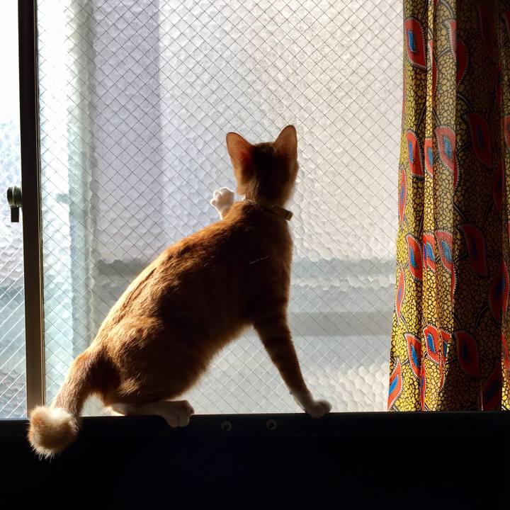 Bcb79b14 24eb 41fa a98c 05141f475b77