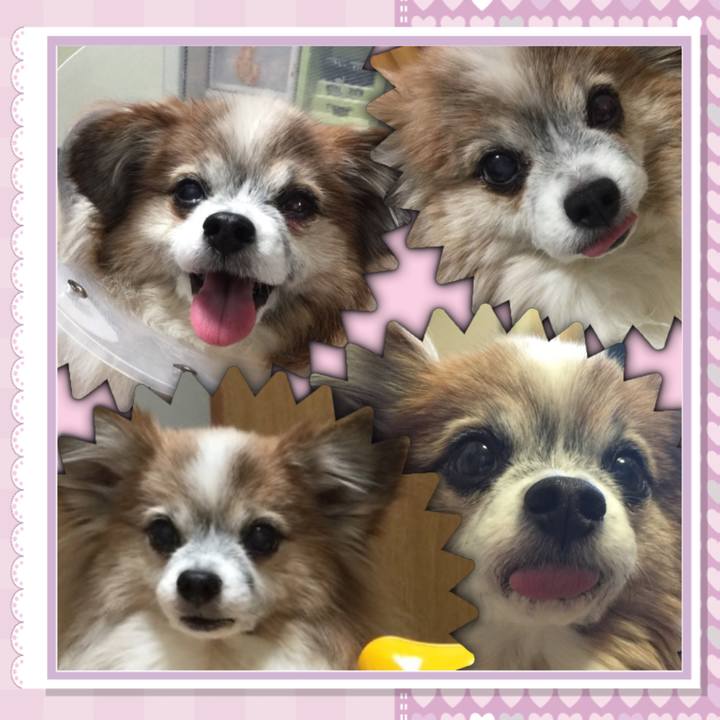 Bcb7eb55 21c4 4151 958b 7d9210a8ec25