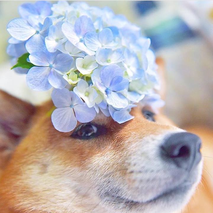 Bcb88ce1 0537 4b2f b14f a43b65e7a7a3