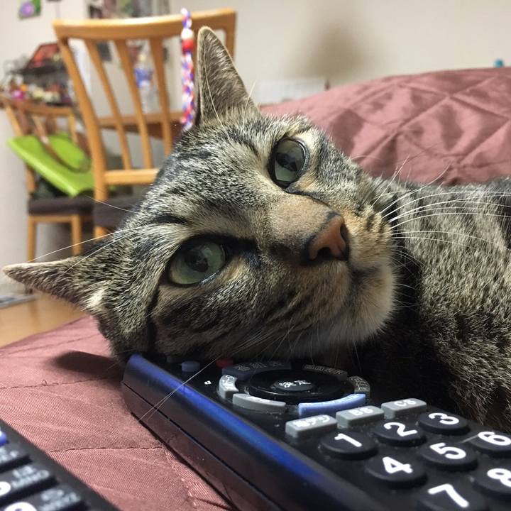 Bcb8b192 c734 4e97 a33b 28a8b9b39883