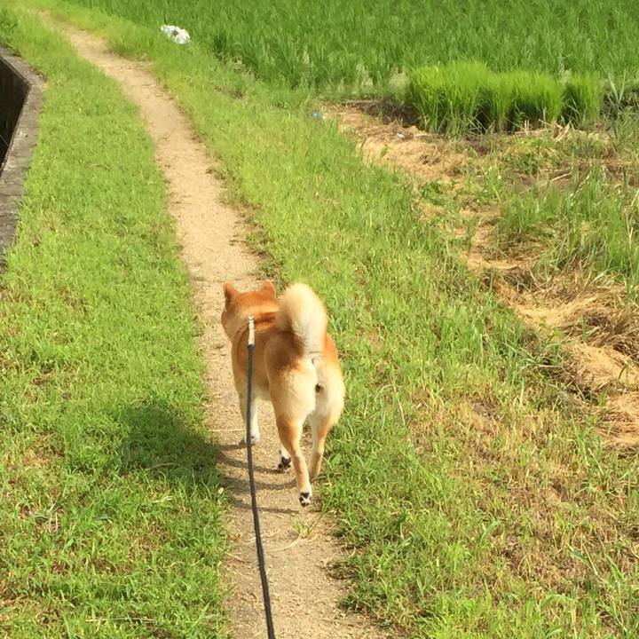 Bcb912ad 8e6b 4d8c b0b6 134686e42664