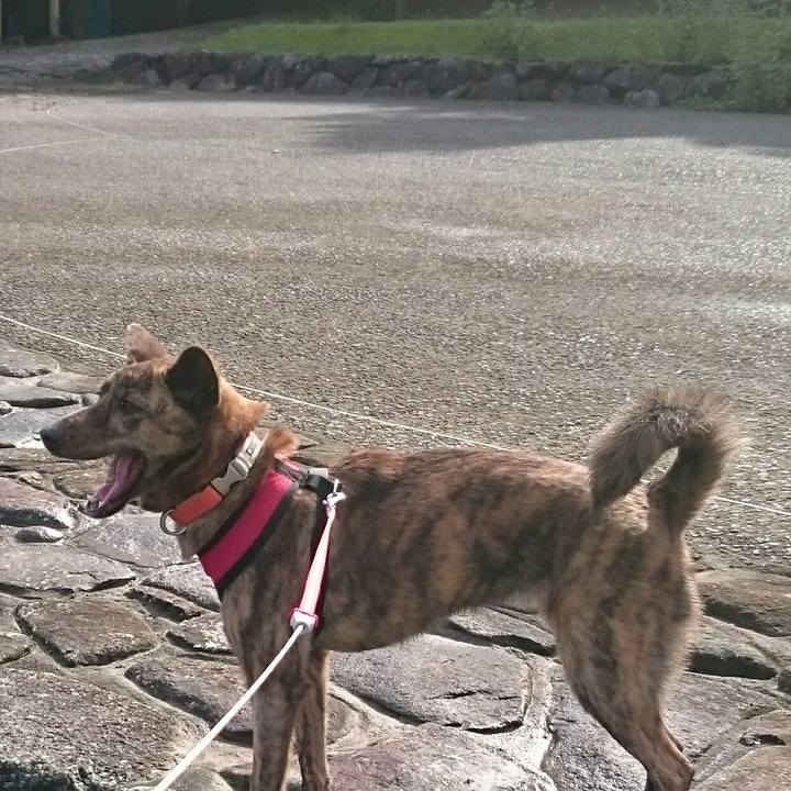 Bcbadf7a 7f3b 494e a745 a753985aa830