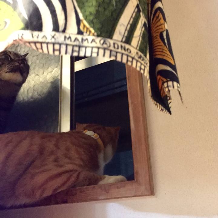 Bcbb52cf c222 4dc8 8218 41f8f4a0bedf