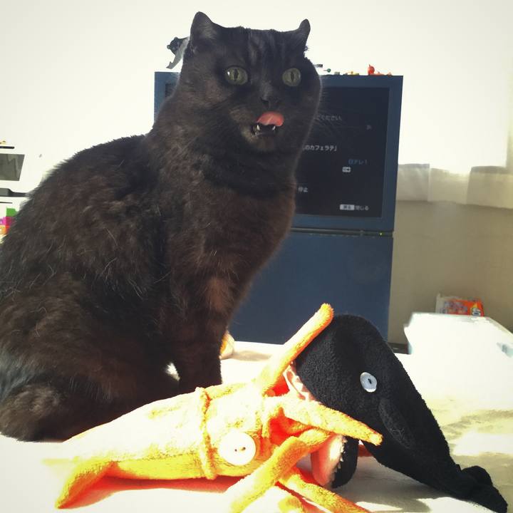 Bcbb6dfe 4b1c 462a bfe1 14c3a24aff98