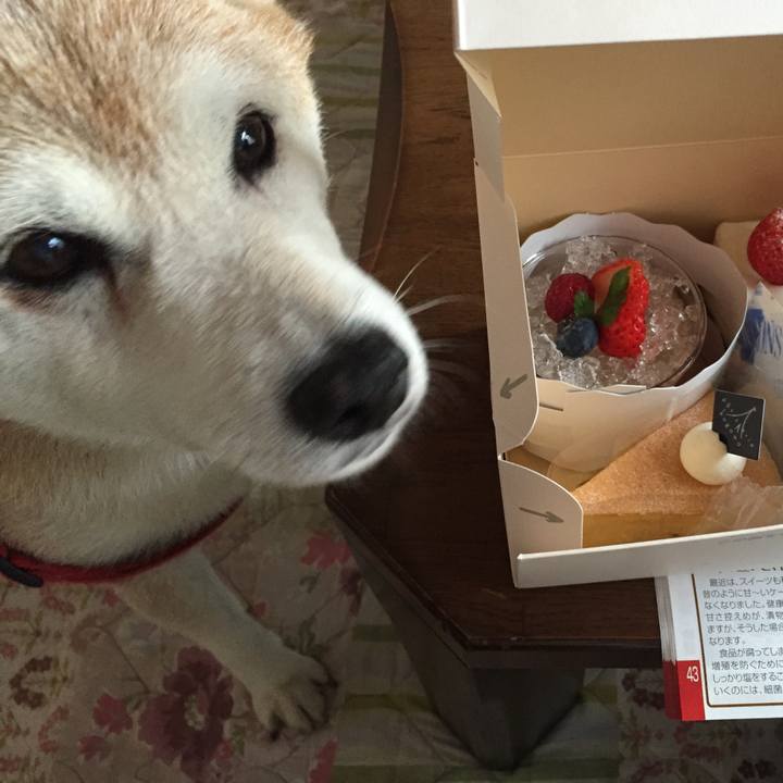 Bcbb9232 b345 49aa b2d7 8a218d9fa63f