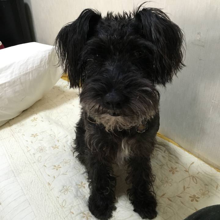 Bcbbb00d e33a 4a38 8e14 cdb7423a4e45