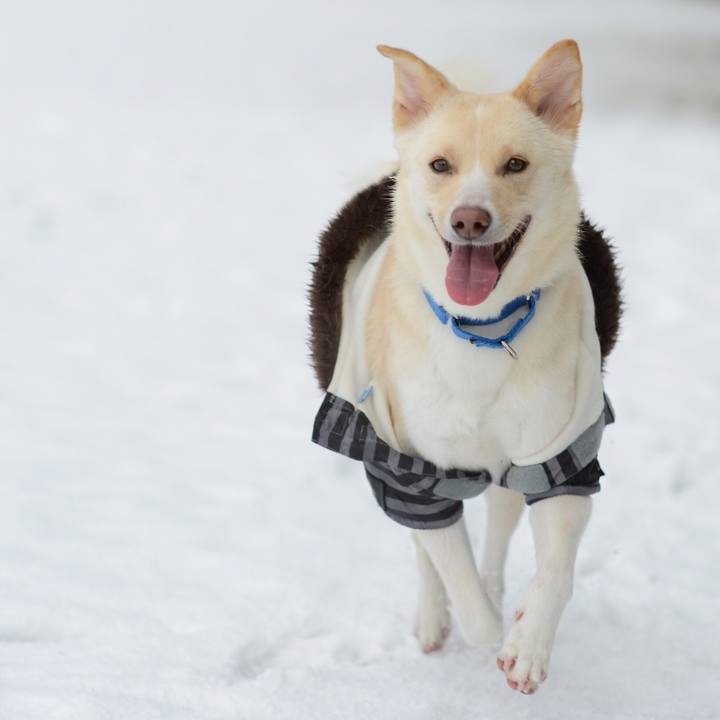 Bcbca3ec a9ed 4343 a203 f8489a934991