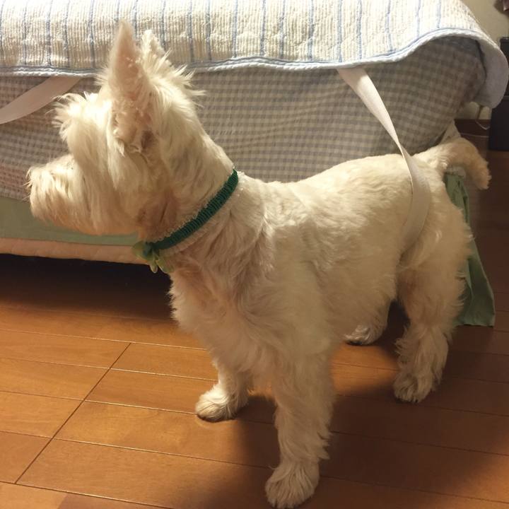 Bcbcc948 cef8 47e9 9e35 bfed31d340fa