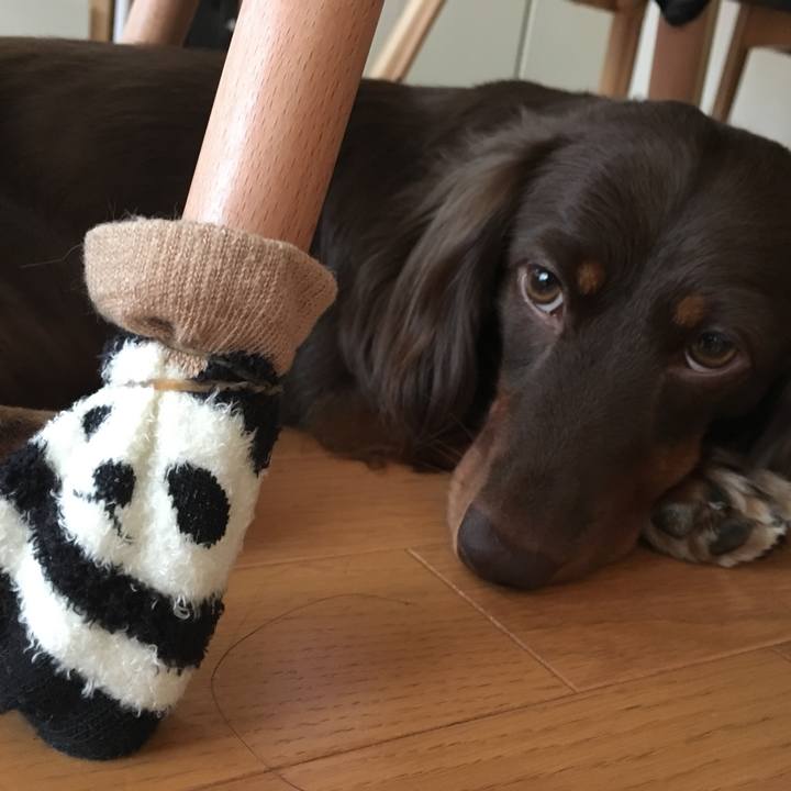 Bcbd3805 070a 4215 91a8 82748af4b7a9