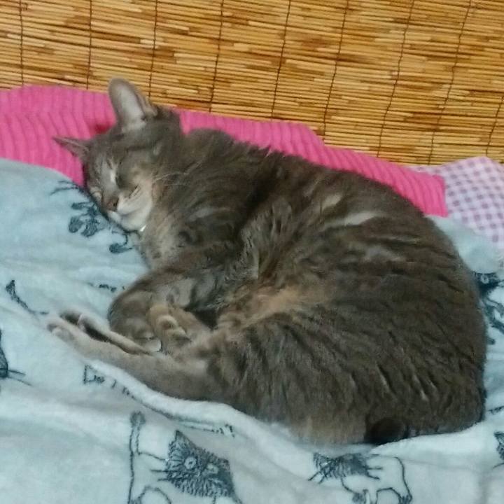 Bcbd6410 ee16 4f78 bfee 231b8ebf9e06