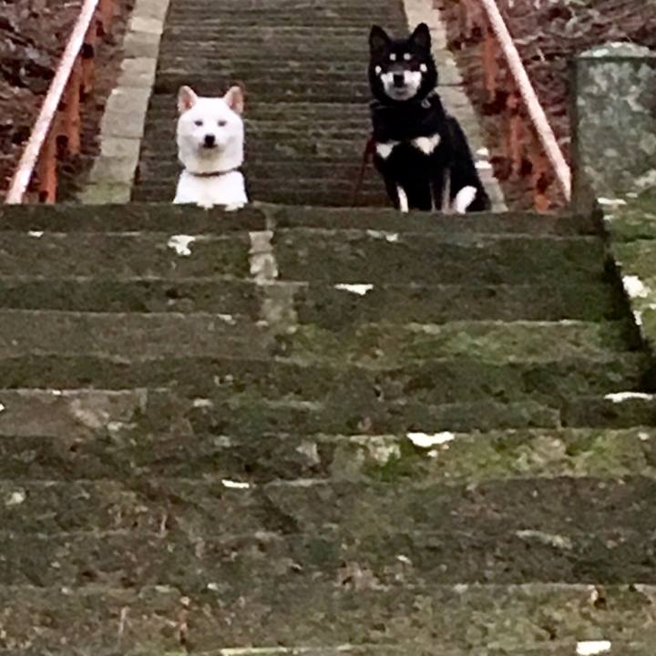 Bcbe1816 d21b 4542 9f97 8011c6182227