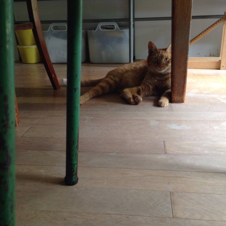 Bcbe4575 0a60 4933 b817 56da7aa8752a