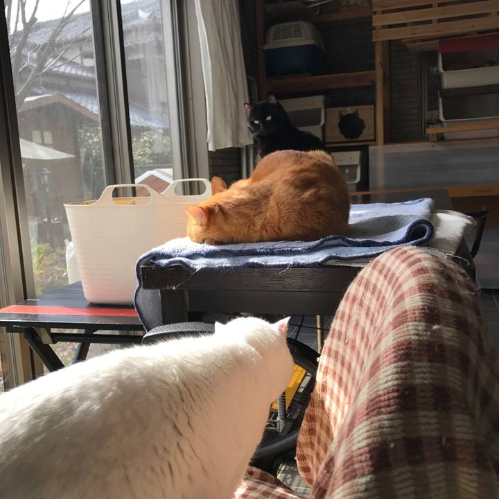 Bcbe77c8 6d84 466e ab66 f80ce70fe2f5