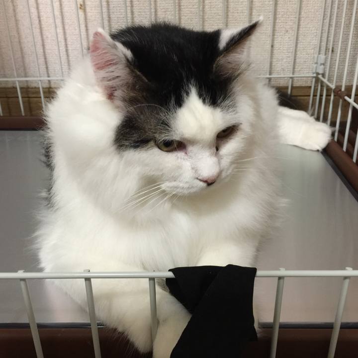 Bcbed366 786d 4438 bc73 0c3fdf444020