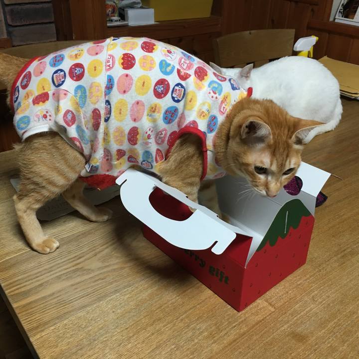 Bcbee322 a409 4587 a1e2 5190059ad84d