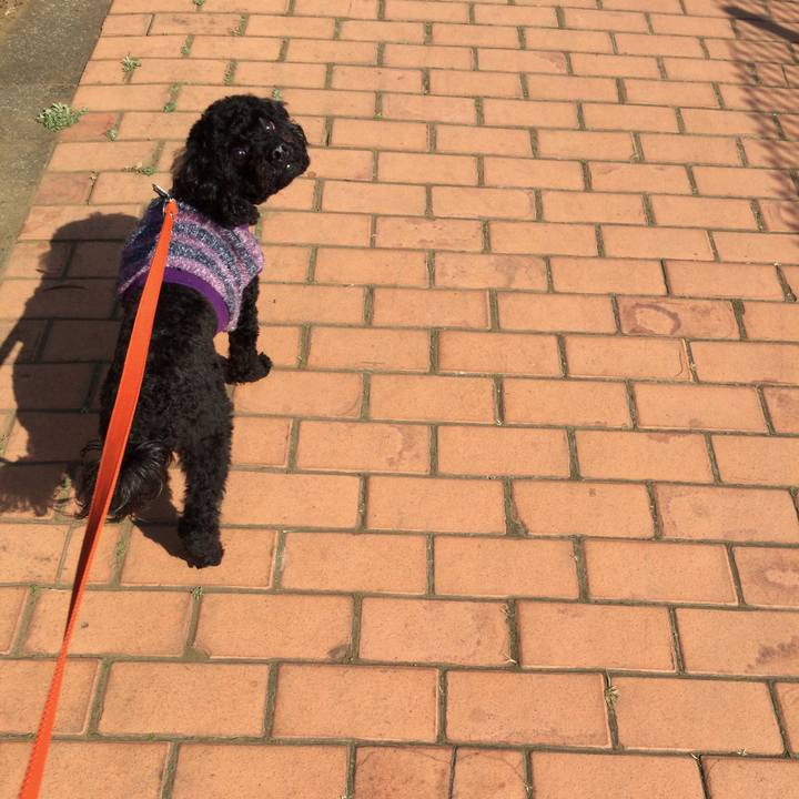 Bcbf0ba9 30a7 422f b299 75fb42315d09