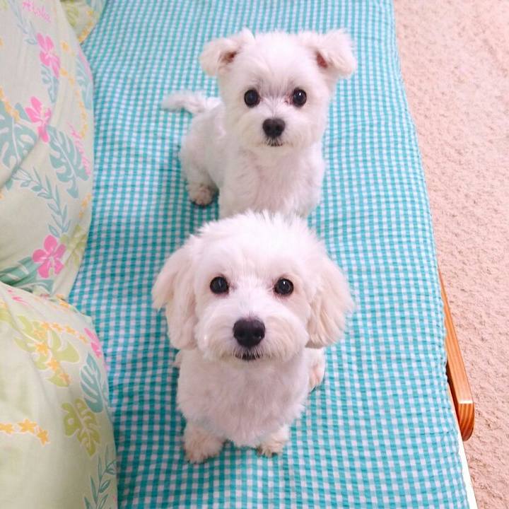 Bcbf2d40 5308 4838 bd78 2ffeac3b57f6