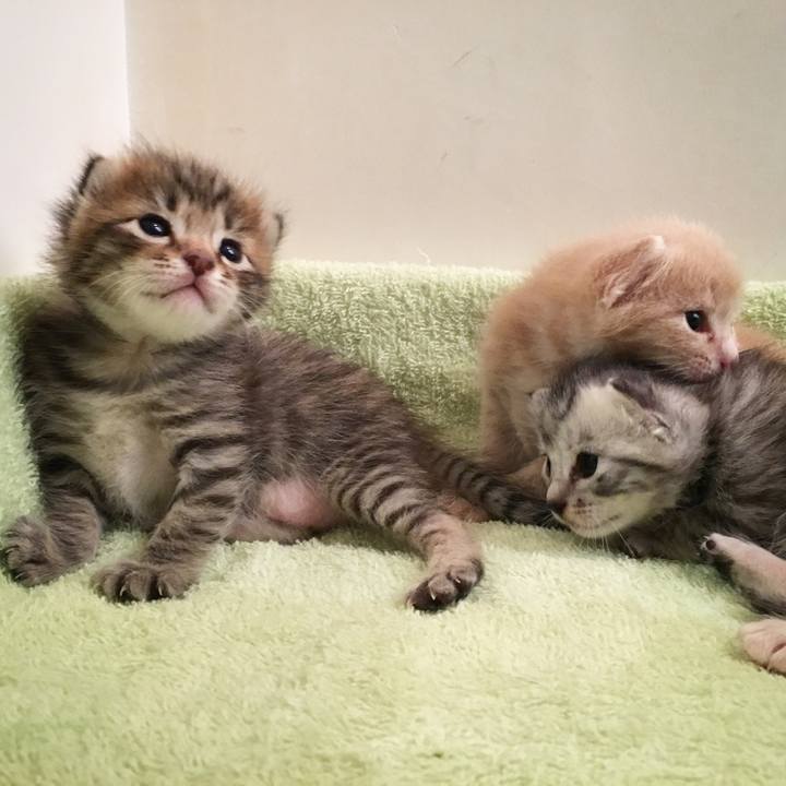 Bcbf331b 2b4d 4bd7 9425 8fcc4b63c5a4