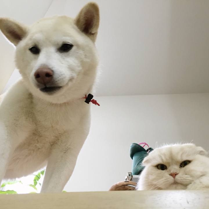 Bcbf9aa4 3aeb 4256 9a8d cb2d19690b45