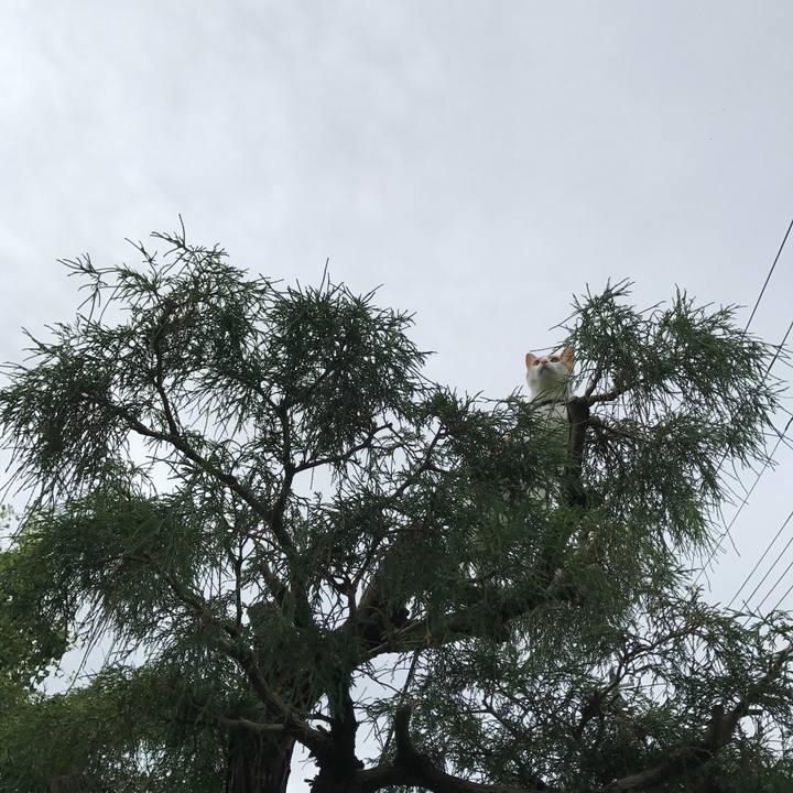 Bcbfb9f2 2426 49b9 96e3 cf160cfcc862