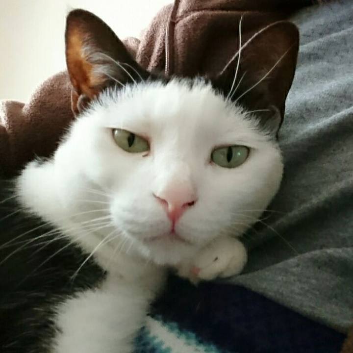 Bcc190fd c6c4 4d09 8c21 cc13b2a420c5