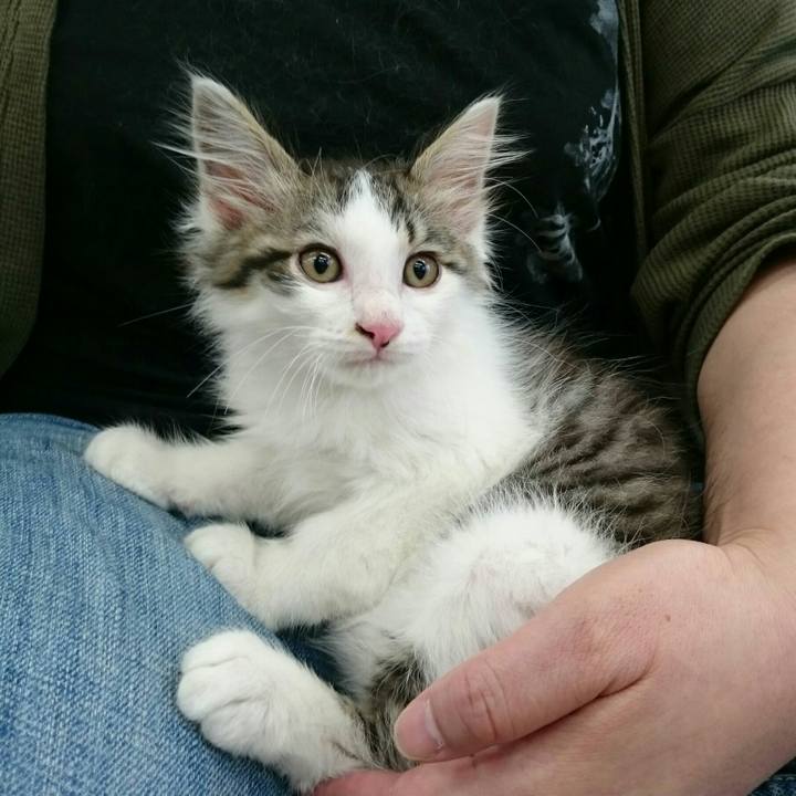 Bcc1eea4 ac42 4001 8ee0 774109aee251