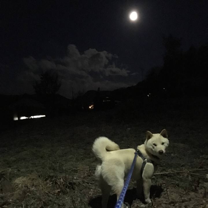 Bcc251bb e5fe 4b22 983d 6ca2fde144be