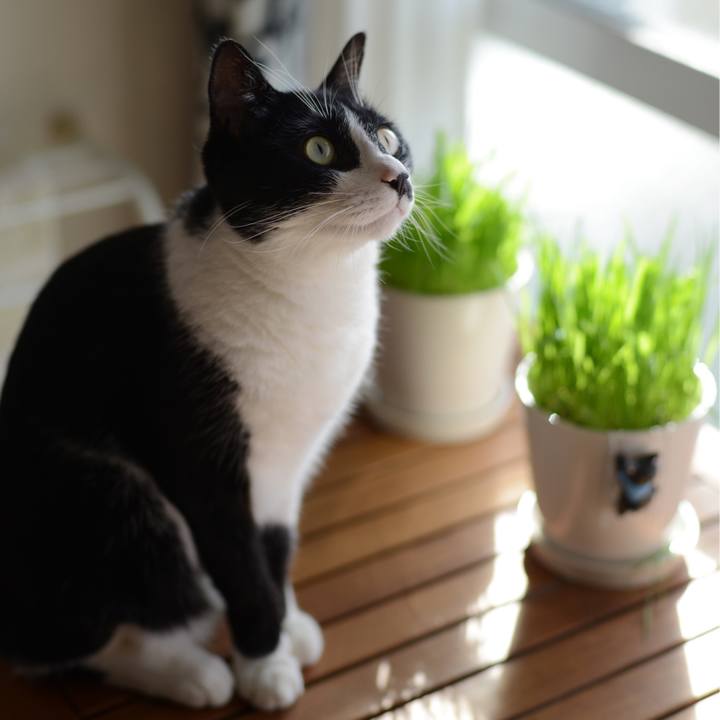 Bcc2f16f 38cd 4a97 bf0f 5ff71888139d