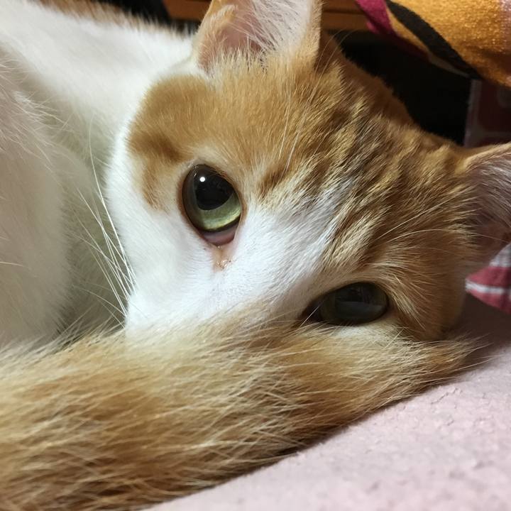 Bcc316c1 ab41 4c88 ac71 70e4010670a8