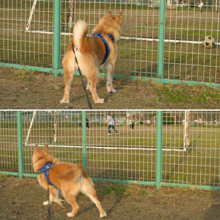 Bcc34be4 2274 49a0 a161 f2be78068c5f