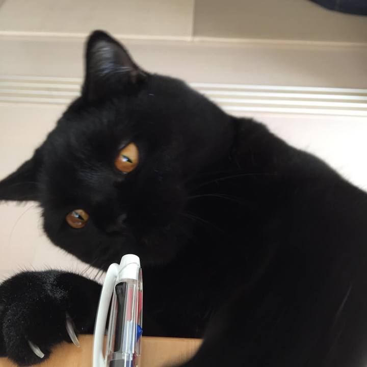 Bcc4b5a9 c8d5 46cb a875 1c0c51dc3232