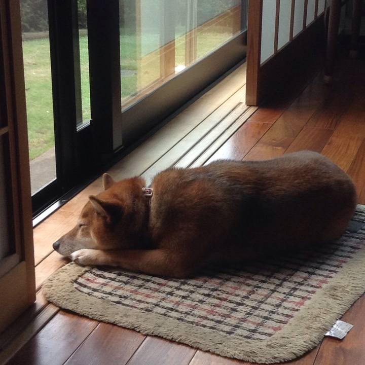 Bcc4c197 7dee 40fc 9426 4f16efe6054f